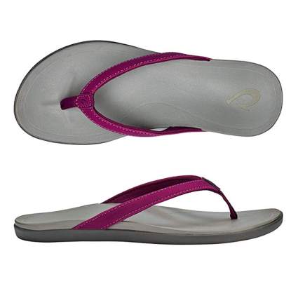 purple and gray flip flops